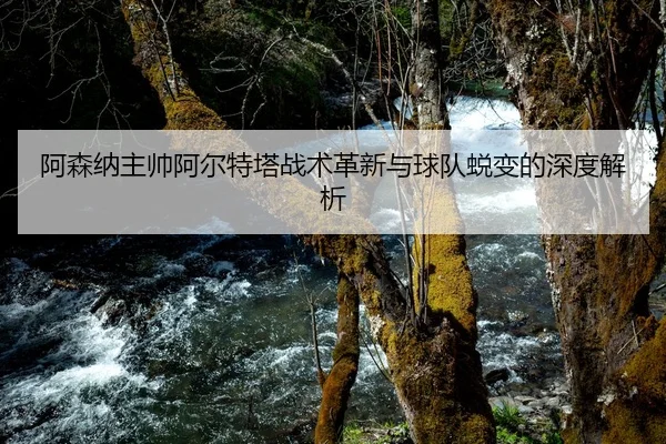 阿森纳主帅阿尔特塔战术革新与球队蜕变的深度解析